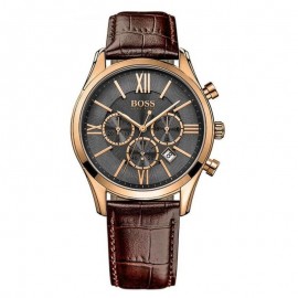 Hugo Boss hb1513198