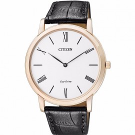 Citizen AR1113-12B