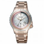 Citizen EP6022-55A