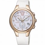 Citizen FB1312-06A