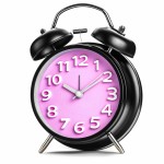 Dash Alarm da025