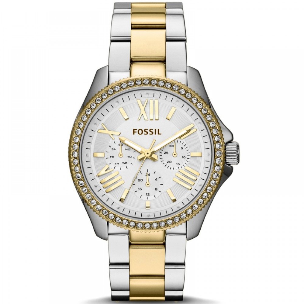 Fossil AM4543