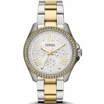 Fossil AM4543