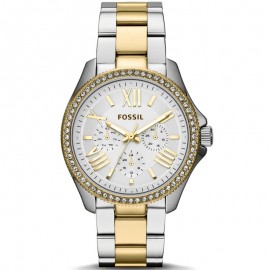 Fossil AM4543