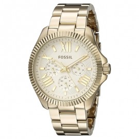 Fossil AM4570