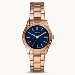 Fossil BQ3563