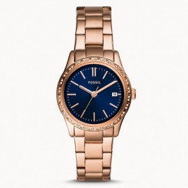 Fossil BQ3563
